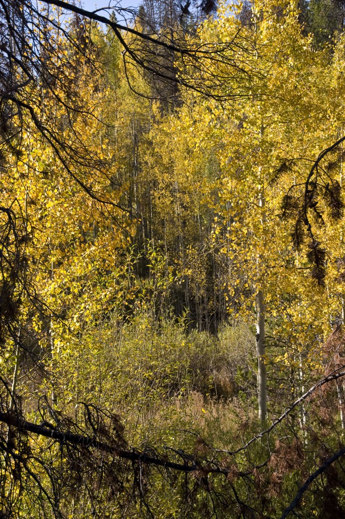 Gorgeous autumn afternoon