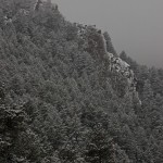 Pines and granite against a lowering sky