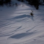 High winds were carving the snow with itself.