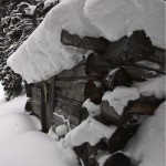 Old Shelter