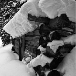 Saints John, cabin, snow, black and white