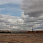 BNSF's Sterling Local just south of Sidney, NE.