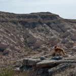 Pawnee Buttes, colorado, plains, Pawnee National Grassland