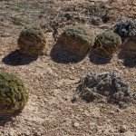 Pawnee Buttes, colorado, plains, Pawnee National Grassland