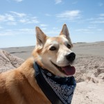 Malie enjoying lunch on the east Butte.