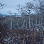 Cold morning in the Williams Fork Mountains