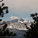 Longs Peak