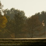 The 4th green on the Blue Course at Hyland Hills GC.