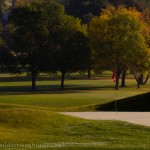 The 5th green on the Blue Course, Hyland Hills GC.