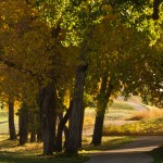 Looking down the cart path from the 11th tee at Broadlands.