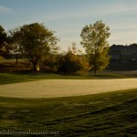 View of the 17th green at Broadlands