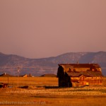 Old barn near CO7 and I25