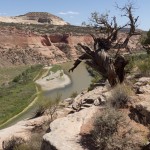 Ruby Canyon, Colorado River