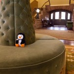 Hugsy relaxing in the lobby of the Hotel Colorado.