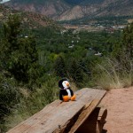 Hugsy resting on the way up to Doc Holliday's grave