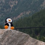 Hugsy and the Devil's Gate Bridge on the Georgetown Loop RR.