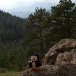 Hugsy on Lookout Mountain.