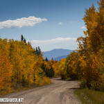 Boreas Pass road in September.