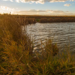 Tom Frost Reservoir 