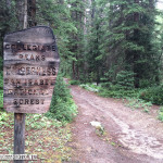 Collegiate Peaks Wilderness boundry sign.